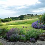 Glanmire Murray Grey breeder Annika Collins lives a busy, but happy, life | The Land