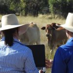 Weekly rainfall update + rainfall outlook 14 June 2023