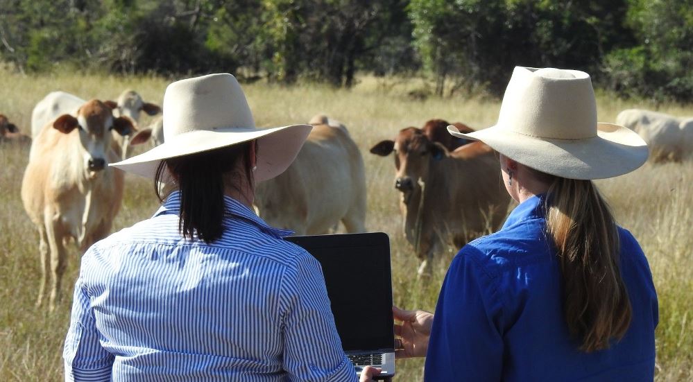 Federal govt gives $11M tech boost to ag trade