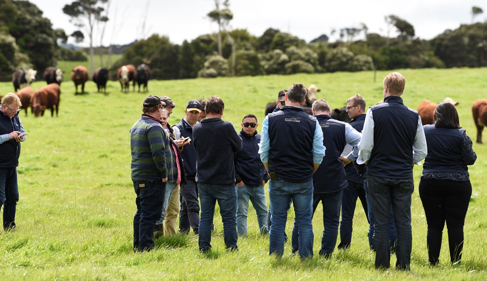 How chefs are driving meat marketing and consumer trends