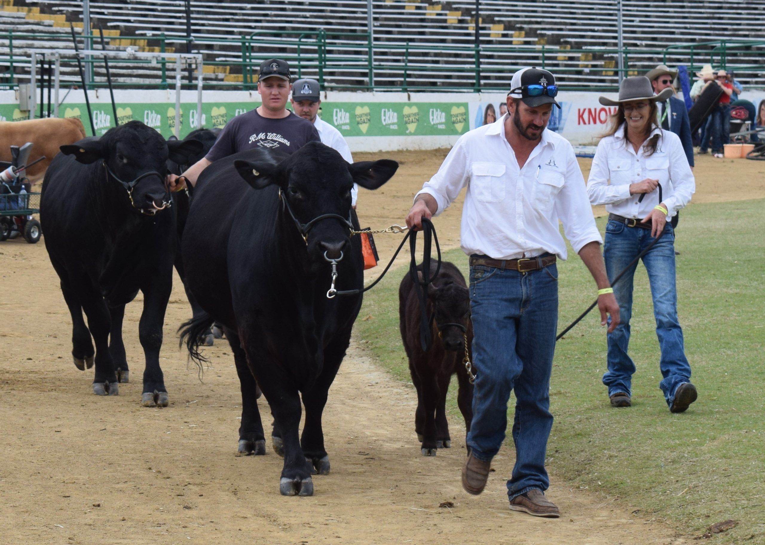 Ekka show ring hears plenty of F-words + PICS