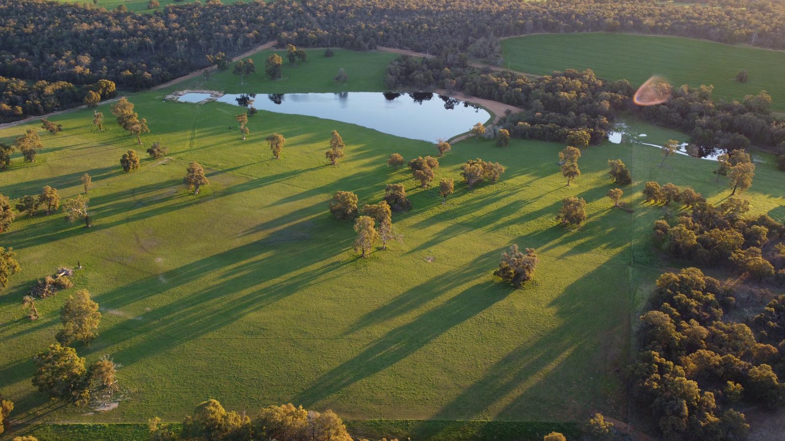 Kikuyu pastures kicking goals across Australia