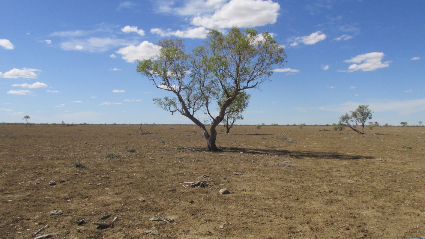 Apply now for regional drought grants