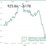 Wheat futures bounce sideways