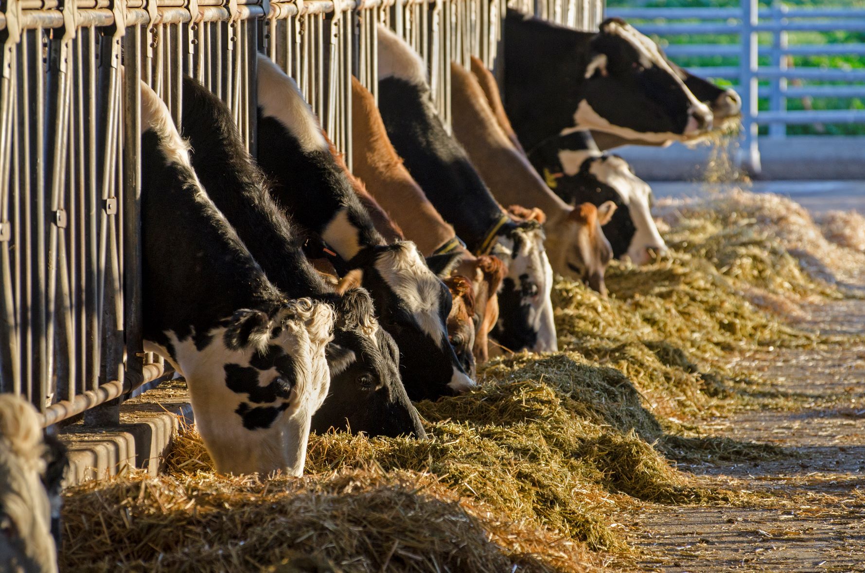 Cal Poly awarded $39.5 million to aid long-term growth in agriculture