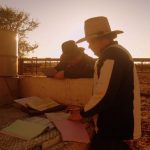 Bull buying considerations for northern Australia