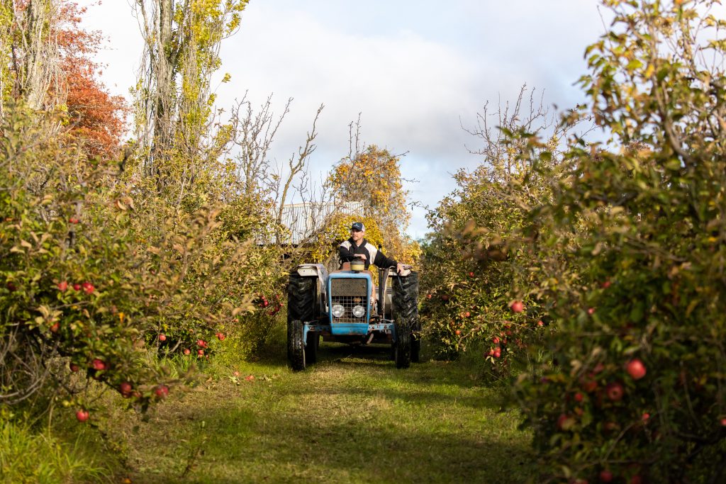 Certified organic explained – AustralianFarmers