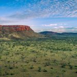 Buyer chasing quality secures the five most expensive bulls at Kenny's Creek