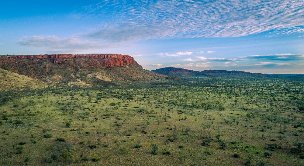 Organically-certified Mt Doreen near Alice Springs makes $70m