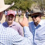 Santa weaner steers top at $1820 at Beaudesert | Queensland Country Life