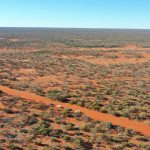 Memorial to be held for NT livestock industry figure, Norm Fisher