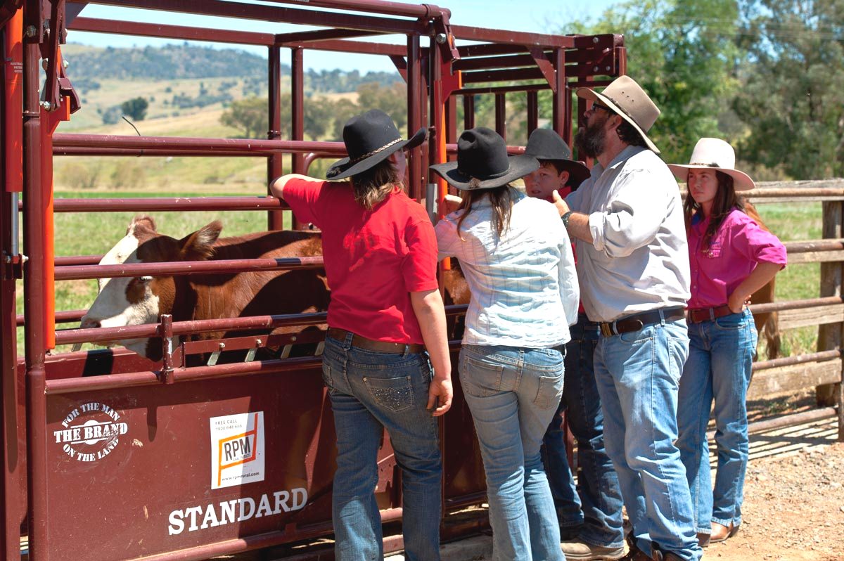 Should more levy funding be directed to ag education?