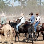 Ten ways to reduce stress on your beef cattle operation