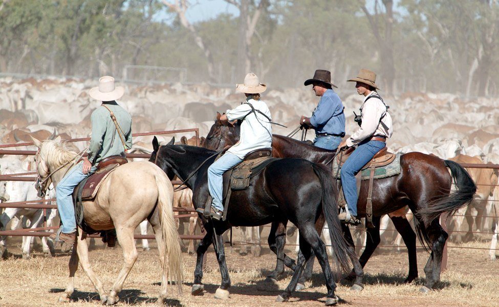 Recruitment, WH&S: Surge in farm workplace injuries