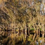 Have your say on the future of the Lake Eyre Basin