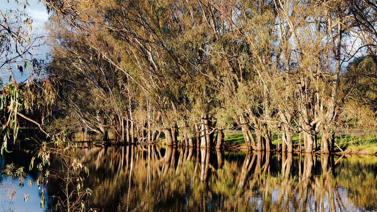 The Stamp Family Garden on a Waterway in Victoria’s North East