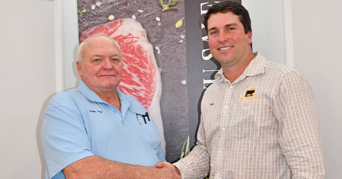 GeneFlow Pty Ltd spends more than $1 million at first Marble High Wagyu sale in Toowoomba | Queensland Country Life