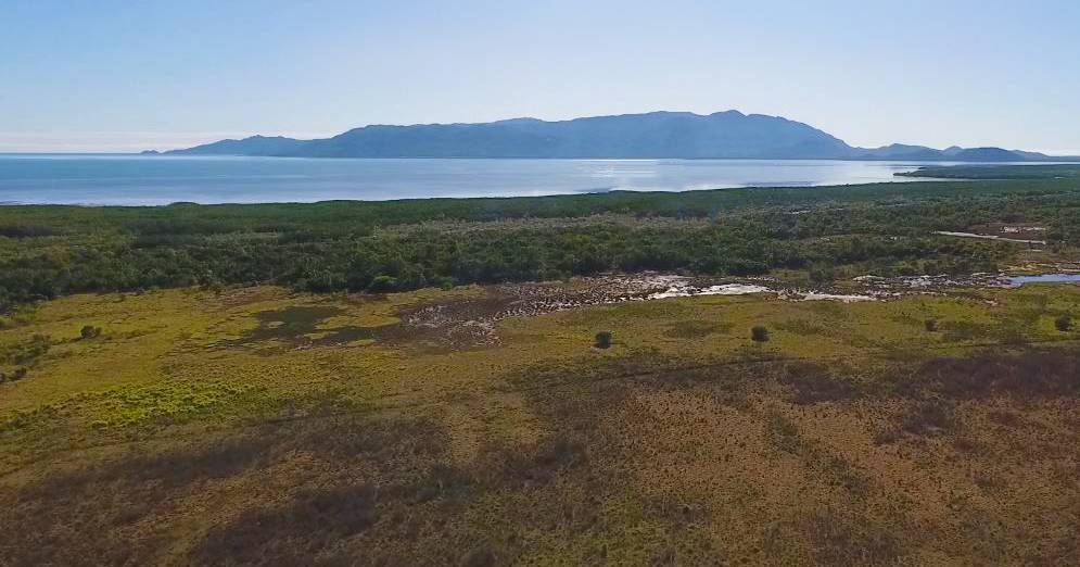 Coastal cattle property offered with 855 cattle | Video