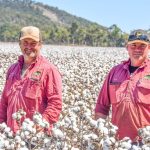 Negotiations continue on Southern Downs irrigation farm