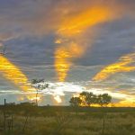 Julia Creek firmed as likely location for NQ cotton gin