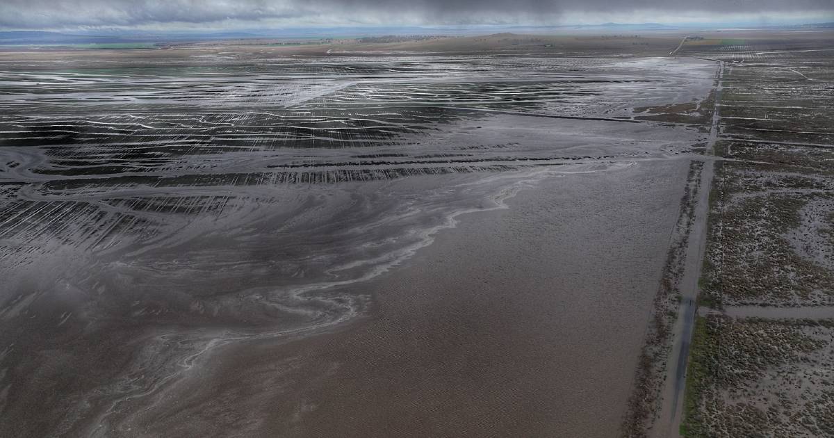 Heavy rain causes flooding for parts of NSW