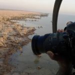 Barley colour restrictions to be dropped