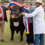 Horror shooting rocks Queensland cattle community