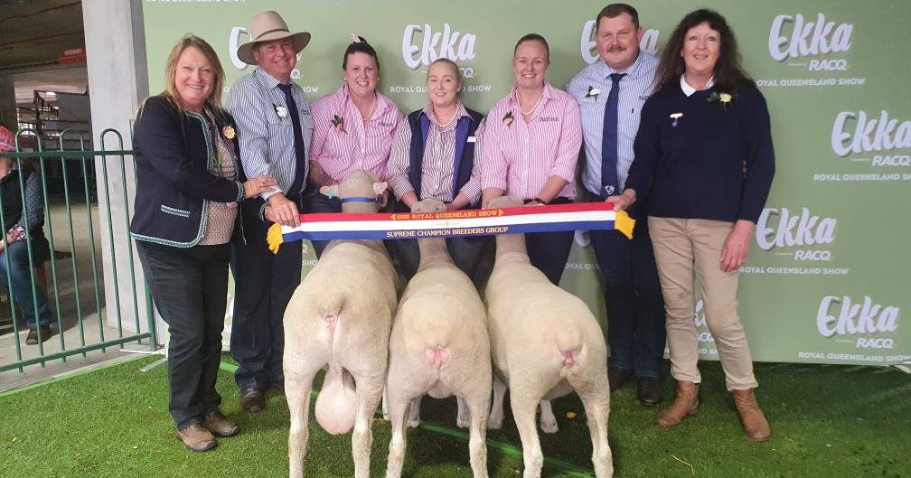 Supreme sheep awards presented | Pictures