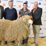 Conrayn Merinos wins supreme exhibit of the 2022 Rabobank Dubbo Merino National Show | The Land