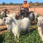 Demand still strong for WA farming land | Farm Weekly