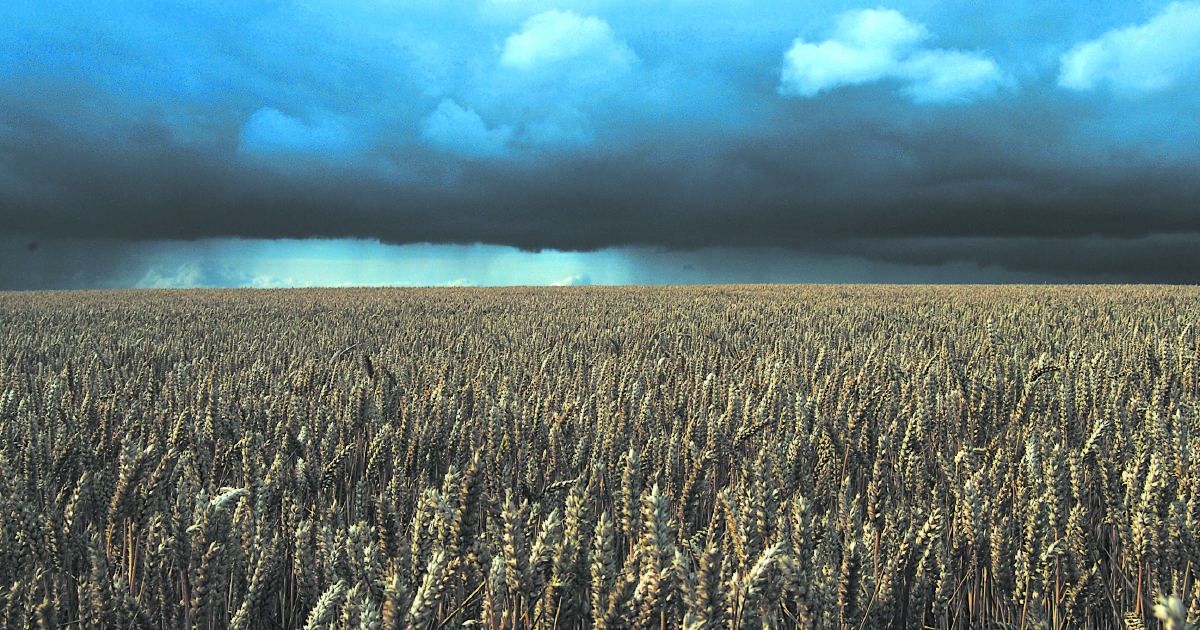 Extreme weather isn't over, says BoM