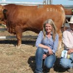 Wililoo wins at WA Sheep Expo & Ram Sale | Farm Weekly