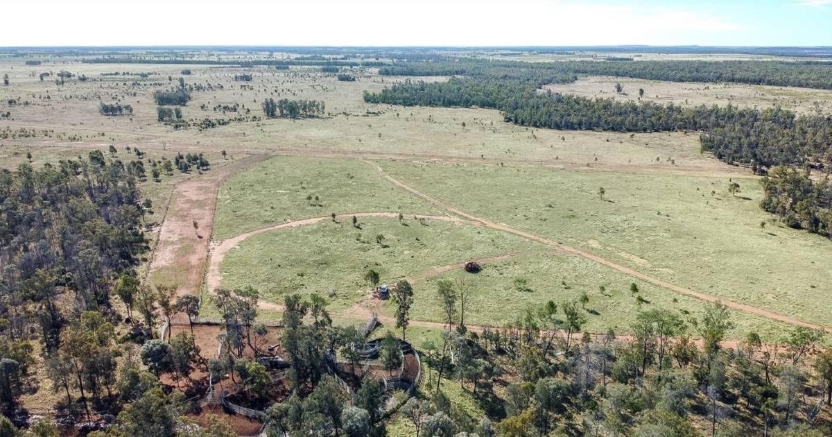 Top Western Downs country hits the market