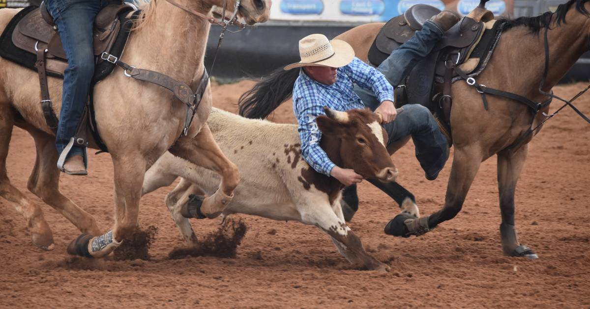 Record attendance for 2022 Curry Merry Muster Festival