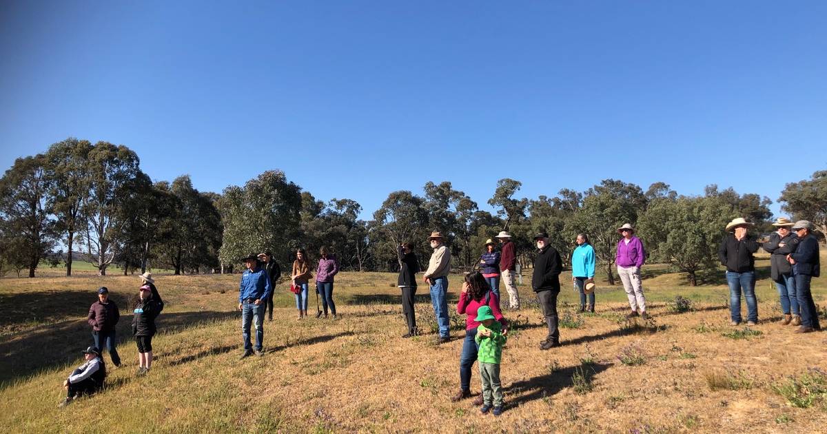 Different views but shared values emerge presenting opportunities for Muttama Creek Landcare Group. | The Land