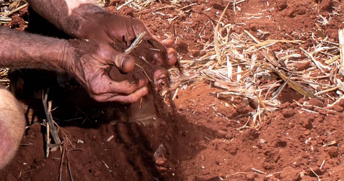 How to make better soil management decisions | Queensland Country Life