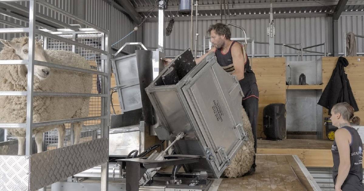 Smarter ways to tackle shearing