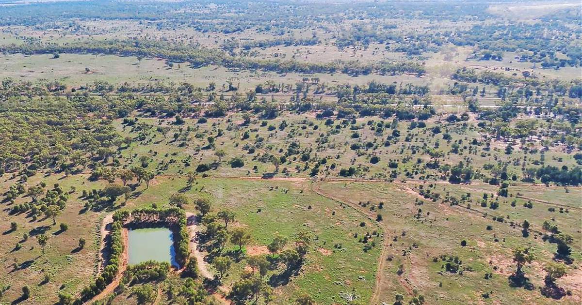 Cobar country soars past reserve price in online auction