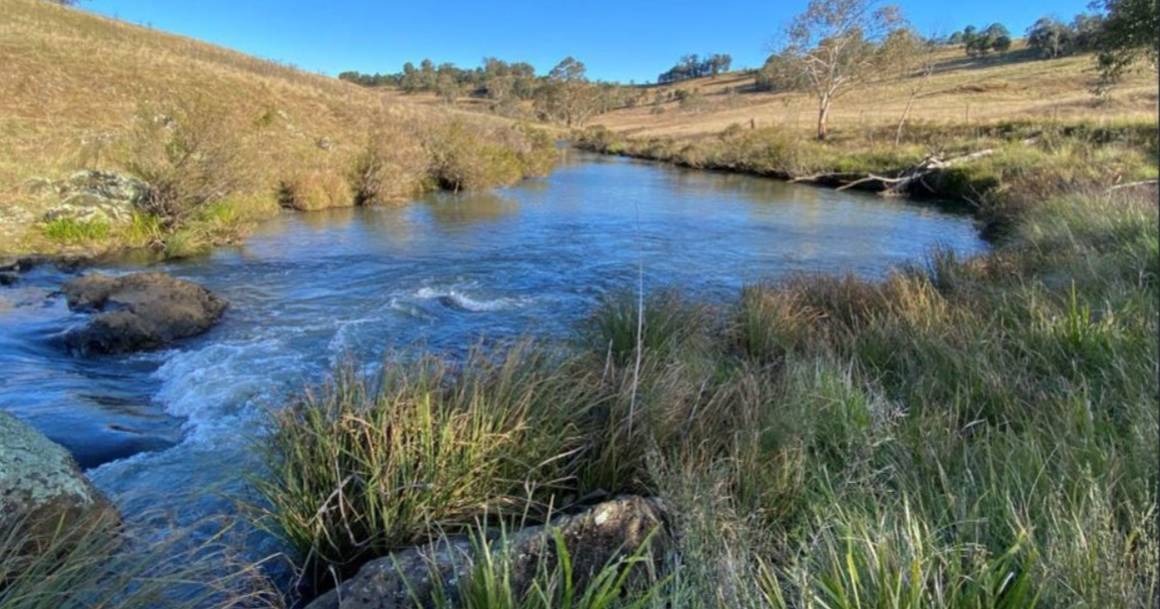 High rainfall cattle country listed for $4.3 million