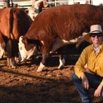 State's best axemen shine in one of Ekka's most popular attractions