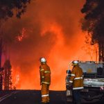 Numbers washed down but prices up at Dunedoo