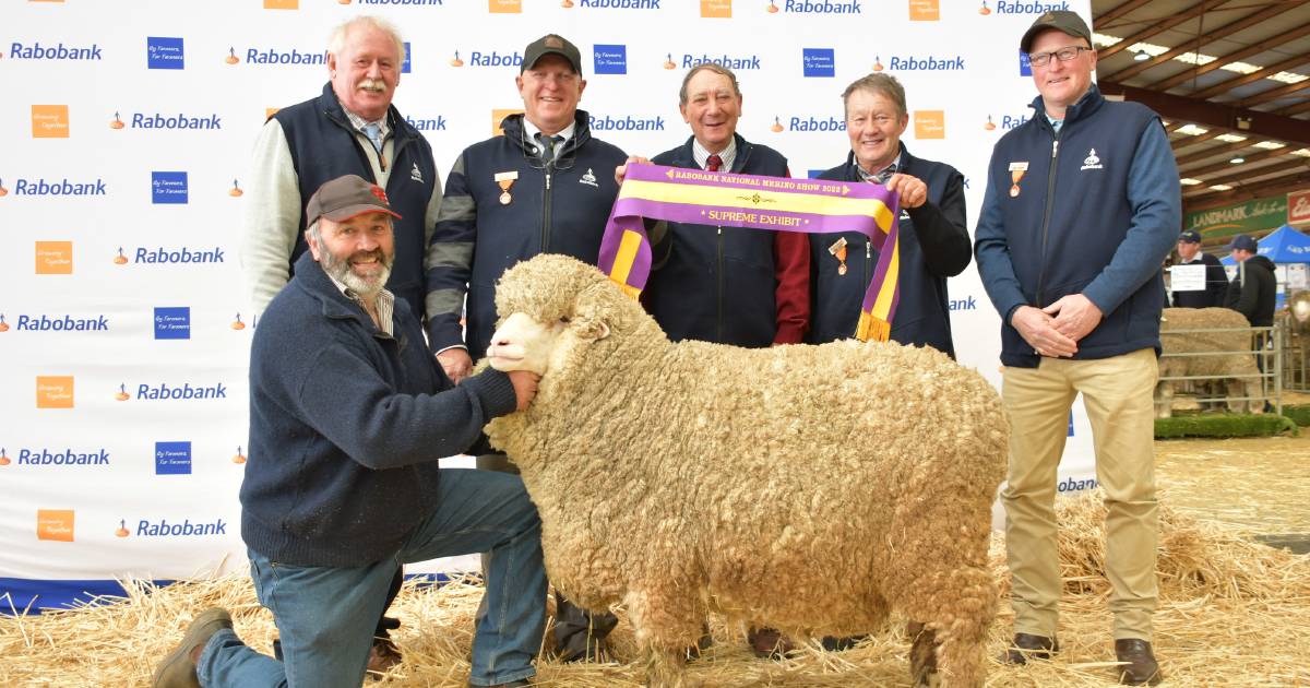 Conrayn Merinos wins supreme exhibit of the 2022 Rabobank Dubbo Merino National Show | The Land