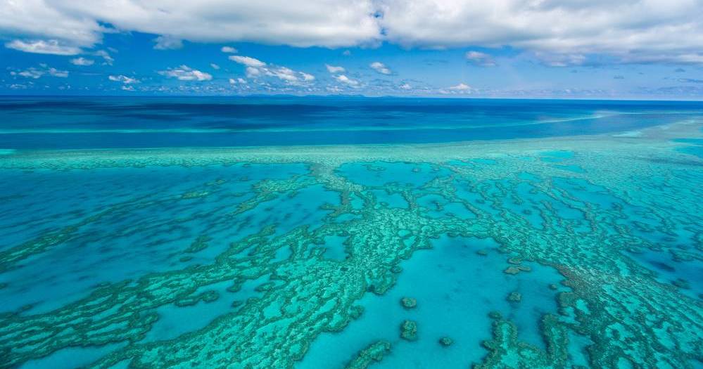 News of Great Barrier Reef coral cover increase gets mixed response | Queensland Country Life