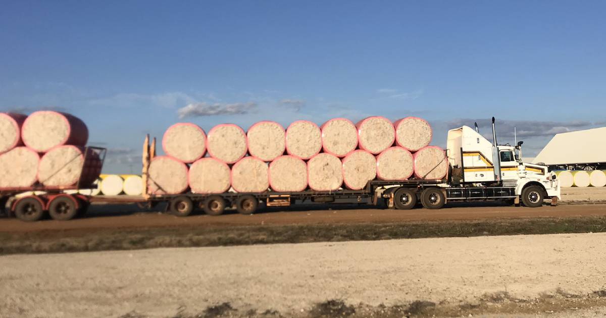 NT farm clocks 600,000km trucking cotton to gin this season