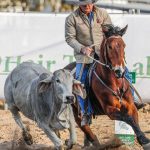 Connecting producers and researchers sharpens northern beef research focus