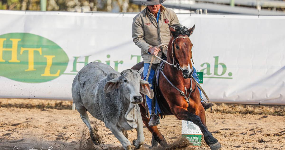 Australian Stock Horse Society Campdraft Championships taken out by Robert Leach and Hazelwood Congressman | Queensland Country Life