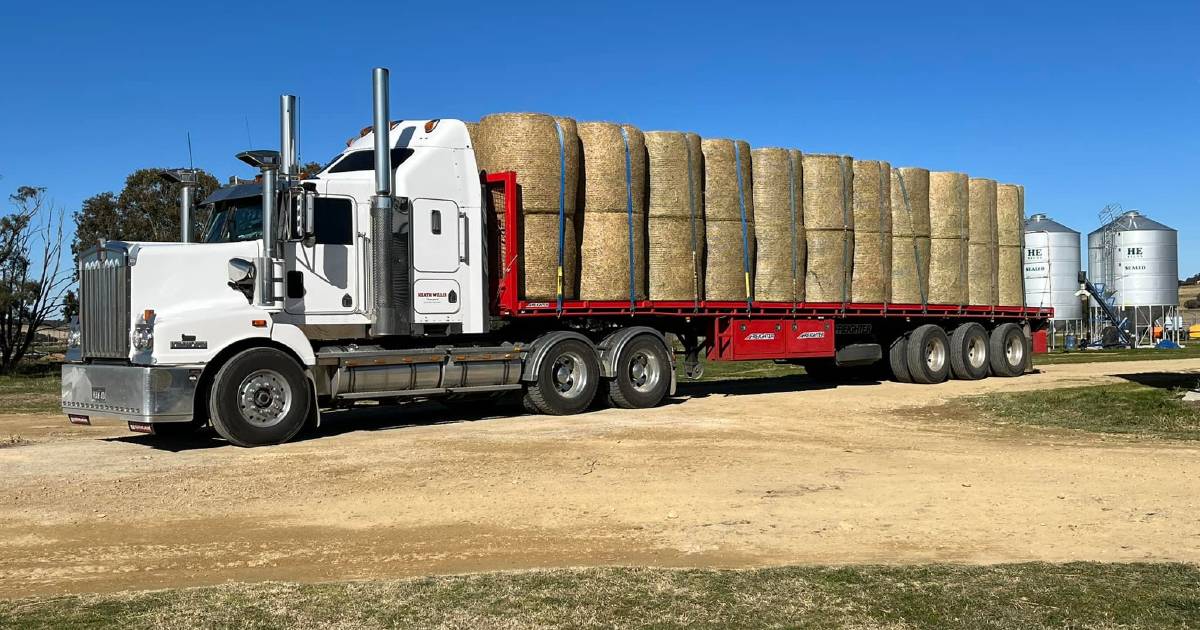 'Hay drought' for NSW