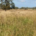 Removal of Mount Isa LPG bowser results in 1100km desert