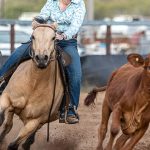 NSW genetics dominate the Red Poll ring at Ekka