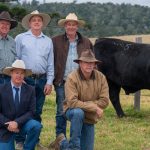 Riss is the word at Longreach ram sale